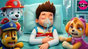 Щенячий патруль и Маршалл. Залипательное видео. Мультфильм для детей и малышей. Анимация 389