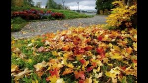 Бабье лето.