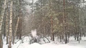 Denairus - Красота зимнего леса.mp4