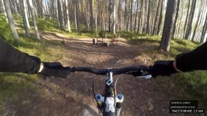 Тренировка в формате короткого кросс-кантри на оз.Медозеро