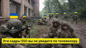 Эти кадры ССО вы не увидите по телевизору; Жестокий разгром украинских сил.