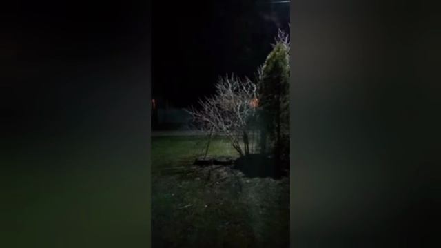 Травля на праздник