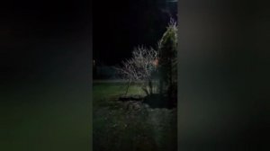 Травля на праздник