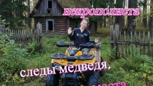Влог некрополиста. Следы медведя, заброшенные места... Продолжение прошлого видео.