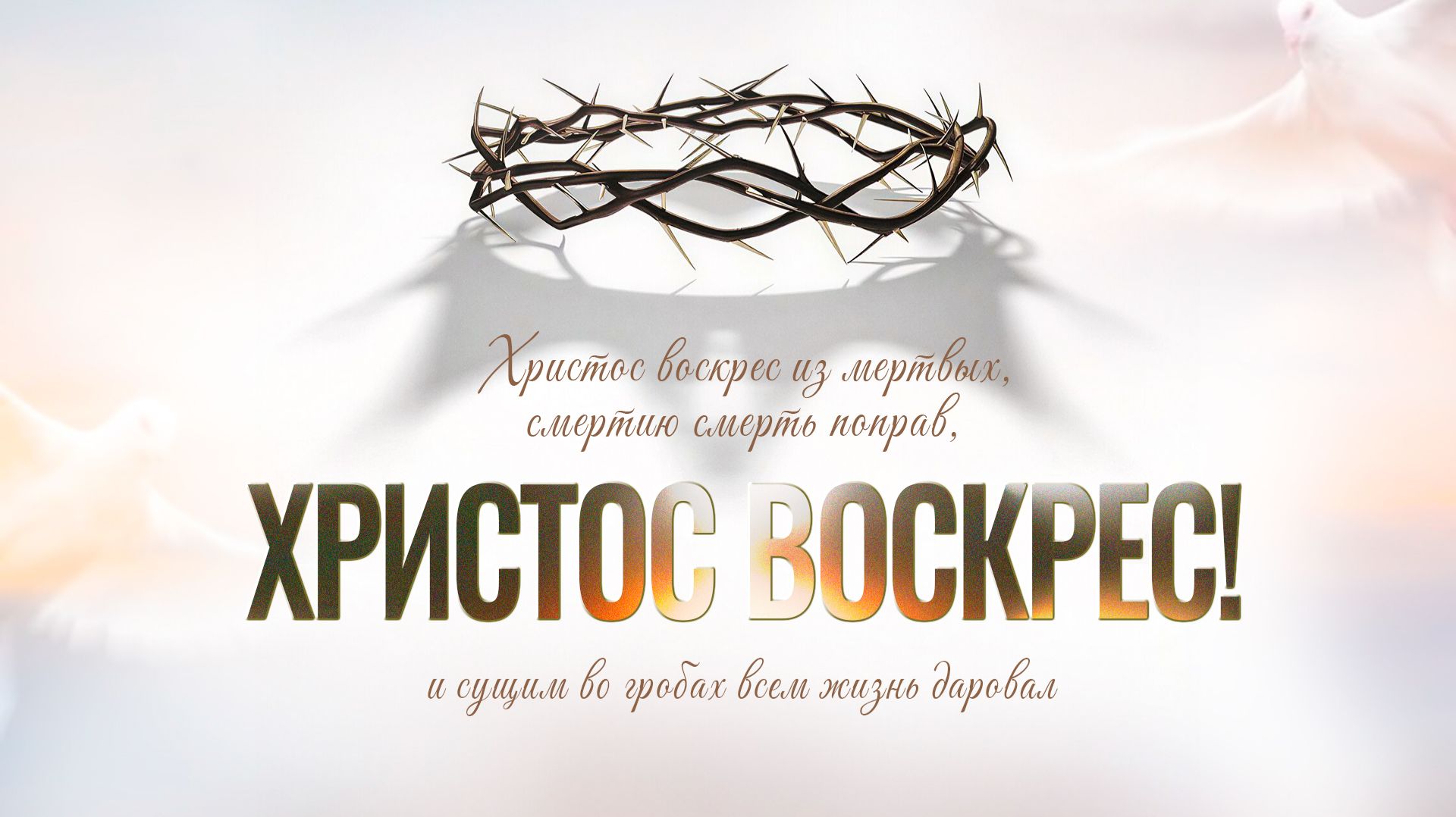 12.04.2026 | Богослужение 