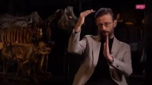 Как предки себя лечили. Болезни и медицина древних людей. Дробышевский