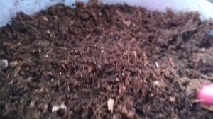 Светлое воскресенье! С днем космонавтики!