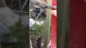 Обычный день в деревне