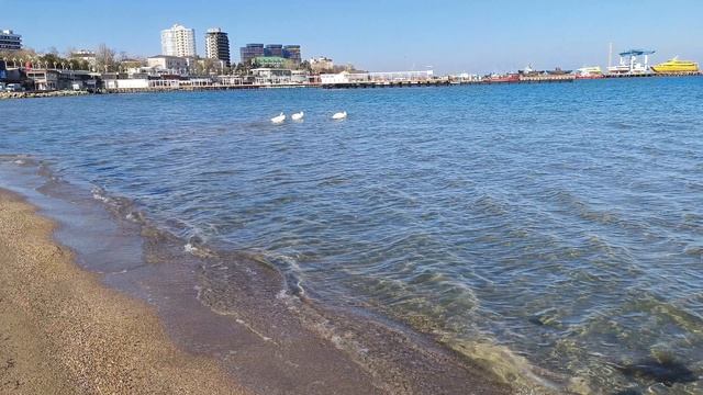 Анапа 12.04.2026 Коротко