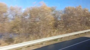 Дорога на юг Сахалина. Продолжение