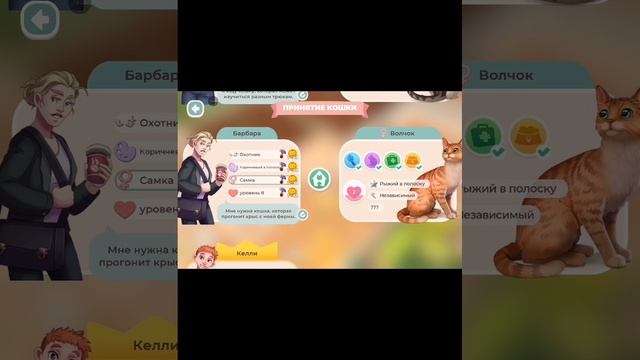 Кошачий приют #2