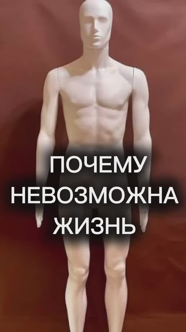 Почему невозможна жизнь