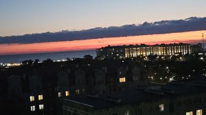 #228.Анапа.Серебристый лох.Дошла до Высокого берега.Речка Анапка.Дельфины.