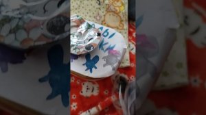 VID_20260412_182900.mp4