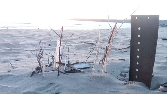 Доехал на лыжах до дальних пляжей, Обское море 🌊 после заката. Красиво! Ждём лета 😉