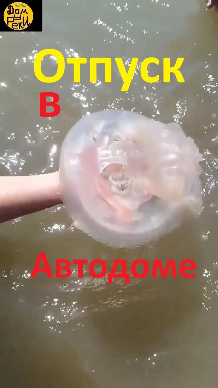 Автодом Отпуск Море как сделать. Большое Смелое Красивое Путекшествие