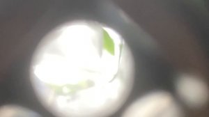 Это че токое