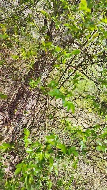 Было весело и красиво  ,но я устал!!