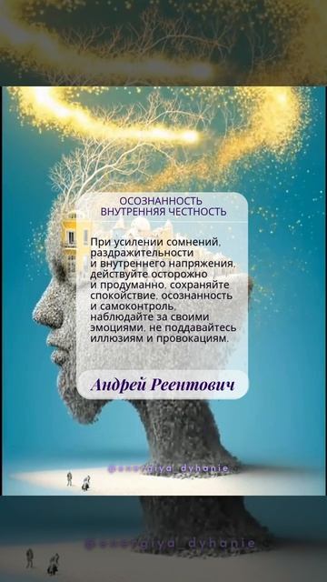 Солнечные рекомендации. Мудрость. Покой. Осознанность. Честность. | Андрей Реентович #shorts
