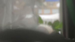 Подшипники