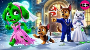 Щенячий патруль и Маршалл. Залипательное видео. Мультфильм для детей и малышей. Анимация 391