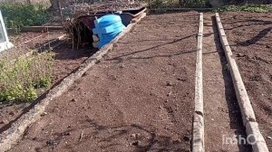 Утро воскресенья. Позавтракали. Обход дачи.