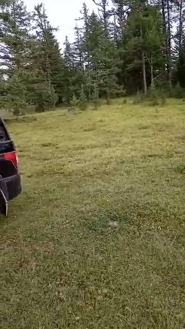 До Телецкого 100км