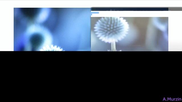 Amure - Осенний