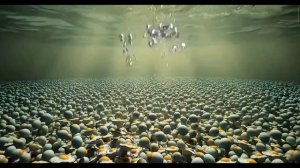 в каком бы океане ты бы поплавал?🌹🌈⚡