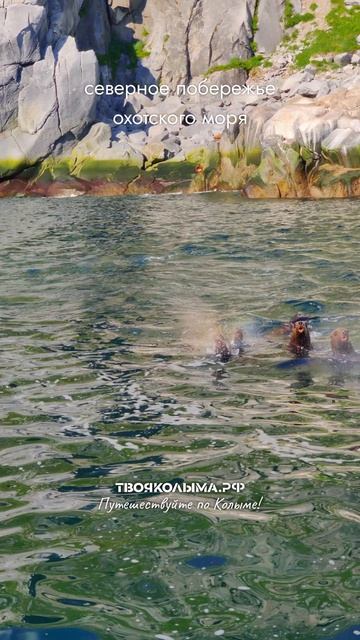 Твоя Колыма. Мне так не хватает твоей красоты, Магаданская область