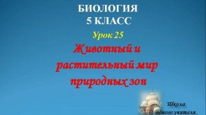 биология 5 класс лекция 25 по теме Животный и растительный мир природных зон