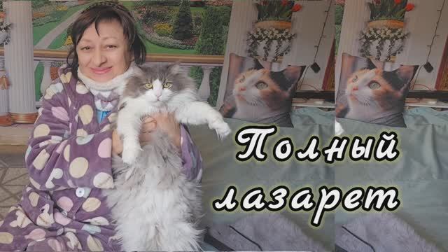 ❤️ ДОМА ПОЛНЫЙ ЛАЗАРЕТ ‼️ 28.01.26
