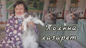 ❤️ ДОМА ПОЛНЫЙ ЛАЗАРЕТ ‼️ 28.01.26