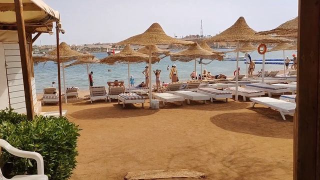 🇪🇬Обзор отеля Old Vic 4 Египет Шарм Эль шейх. Апрель 2026