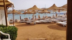 🇪🇬Обзор отеля Old Vic 4 Египет Шарм Эль шейх. Апрель 2026