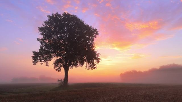 Таня Клевер - Нет