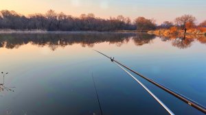 Насадка на карася.Ловля карася на поплавок.