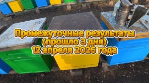 12 апреля 2026 года Промежуточные результаты (прошло 3 дня)
