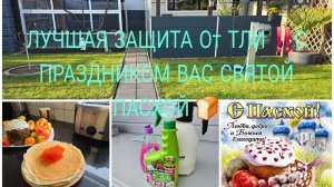 VLOG 🇩🇪 Лучше Средство и без вредное от /ТЛЯ ЧТО ДЕЛАТЬ ‼️Самое эффективно и очень быстрое Средств