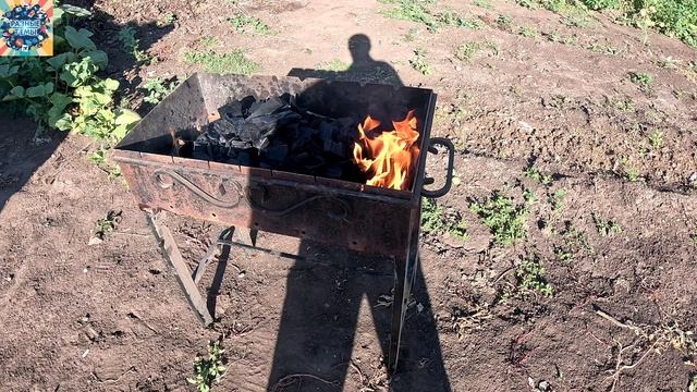 Готовлю шашлык