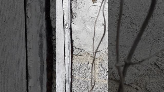 Продажа дома СНТ Энергостроитель  40 + 120 м2