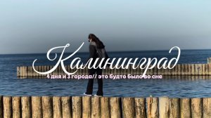 Поездка в Калининград // 4 дня и 3 города