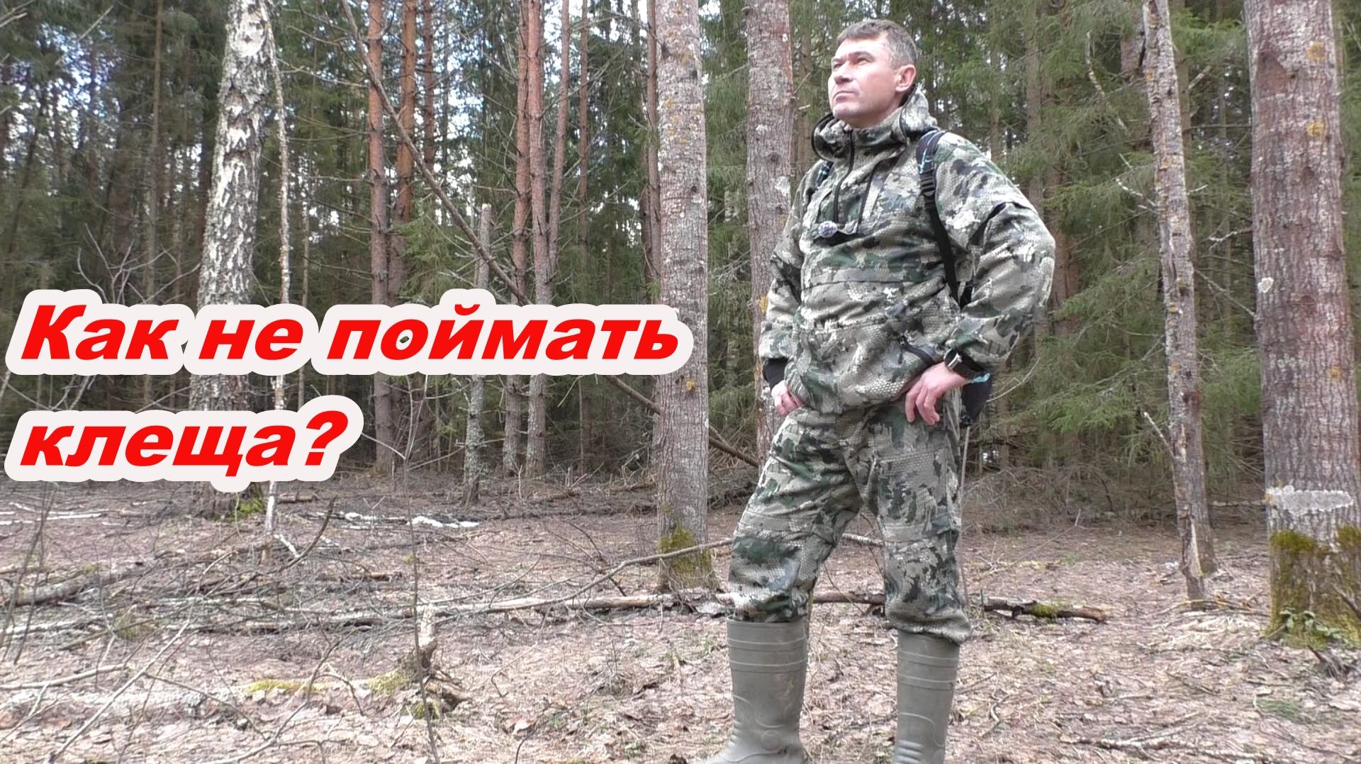 Как не подцепить клеща в лесу? + нашёл 5 видов грибов 🍄