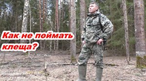 Как не подцепить клеща в лесу? + нашёл 5 видов грибов 🍄