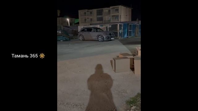 В Анапу идёт большое нефтяное пятно. Добровольцы нашли 200 измазанных нефтью птиц / Тамань 365