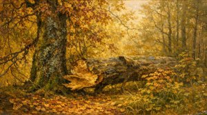 Бороздин Олег Александрович - Няндома - Ярославль - Вологда