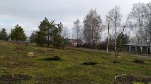 С праздником Пасхи!!!