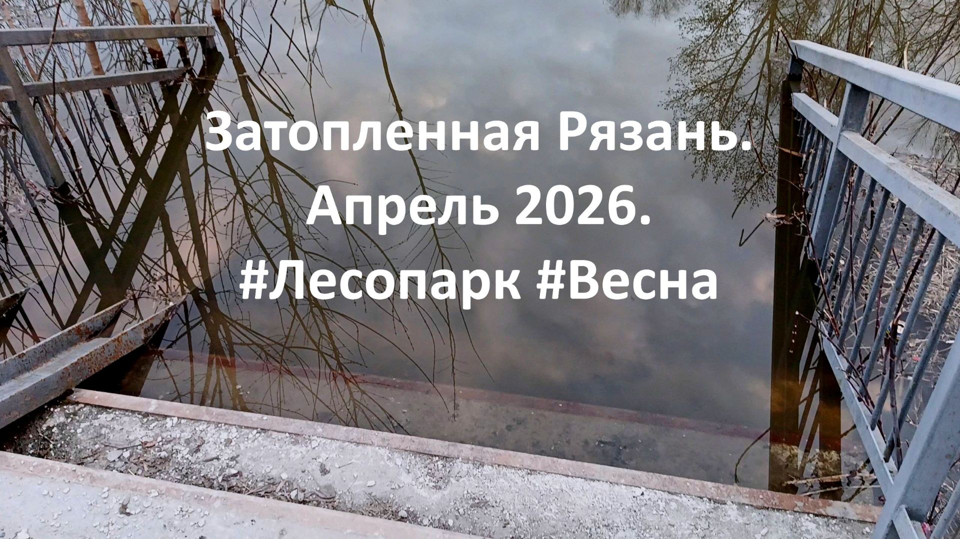 Затопленная Рязань. Апрель 2026. #Лесопарк #Весна #Ока #Разлив