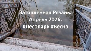 Затопленная Рязань. Апрель 2026. #Лесопарк #Весна #Ока #Разлив