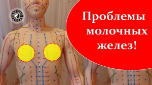 Молочные железы и точки на них 09